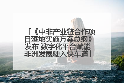 《中非产业链合作项目落地实施方案总纲》发布 数字化平台赋能非洲发展驶入快车道