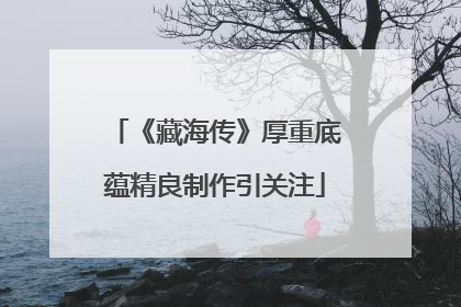 《藏海传》厚重底蕴精良制作引关注