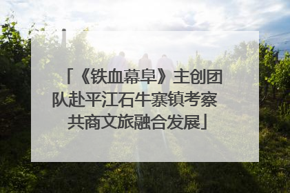《铁血幕阜》主创团队赴平江石牛寨镇考察 共商文旅融合发展