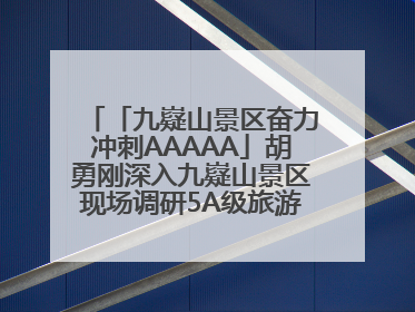 「九嶷山景区奋力冲刺AAAAA」胡勇刚深入九嶷山景区现场调研5A级旅游景区创建工作