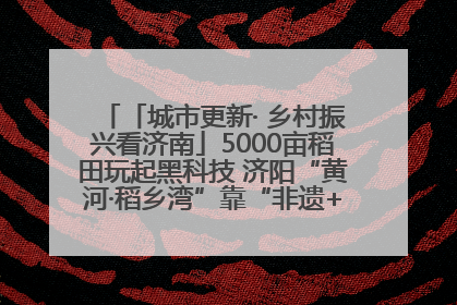 「城市更新· 乡村振兴看济南」5000亩稻田玩起黑科技 济阳“黄河·稻乡湾”靠“非遗+露营”火出圈