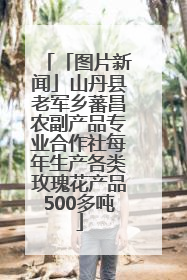 「图片新闻」山丹县老军乡蕃昌农副产品专业合作社每年生产各类玫瑰花产品500多吨