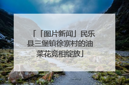 「图片新闻」民乐县三堡镇徐寨村的油菜花竞相绽放
