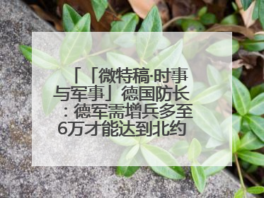 「微特稿·时事与军事」德国防长：德军需增兵多至6万才能达到北约新要求