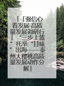 「强信心 看发展·高质量发展调研行」“三步上篮”托举“甘味”出海——秦州大樱桃高质量发展动作分解