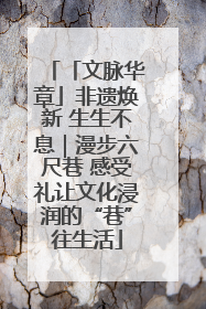 「文脉华章」非遗焕新 生生不息｜漫步六尺巷 感受礼让文化浸润的“巷”往生活
