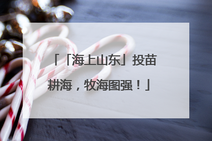 「海上山东」投苗耕海，牧海图强！