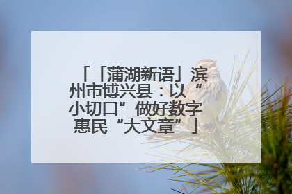 「蒲湖新语」滨州市博兴县：以“小切口”做好数字惠民“大文章”