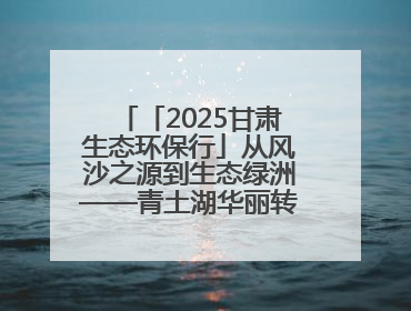 「2025甘肃生态环保行」从风沙之源到生态绿洲——青土湖华丽转身书写生态新篇