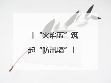 “火焰蓝”筑起“防汛墙”