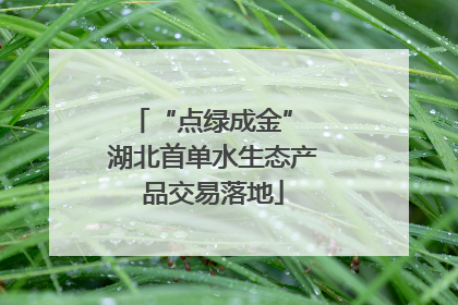 “点绿成金” 湖北首单水生态产品交易落地
