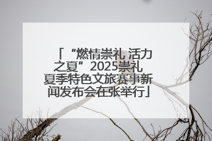 “燃情崇礼 活力之夏”2025崇礼夏季特色文旅赛事新闻发布会在张举行