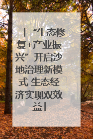 “生态修复+产业振兴”开启沙地治理新模式 生态经济实现双效益