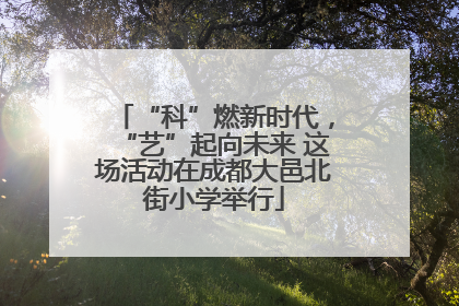 “科”燃新时代，“艺”起向未来 这场活动在成都大邑北街小学举行