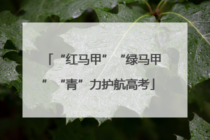 “红马甲”“绿马甲”“青”力护航高考