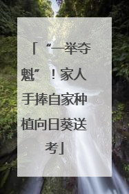 “一举夺魁”！家人手捧自家种植向日葵送考