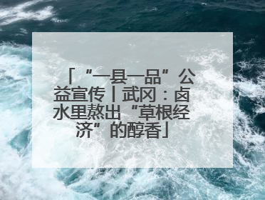 “一县一品”公益宣传丨武冈：卤水里熬出“草根经济”的醇香