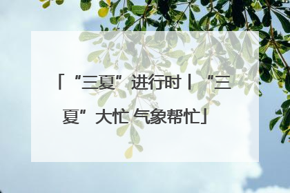 “三夏”进行时丨“三夏”大忙 气象帮忙