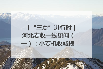 “三夏”进行时｜河北麦收一线见闻（一）：小麦机收减损“竞技” 农机高手麦田“过招”