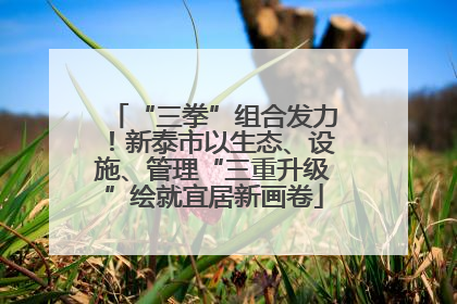 “三拳”组合发力！新泰市以生态、设施、管理“三重升级”绘就宜居新画卷