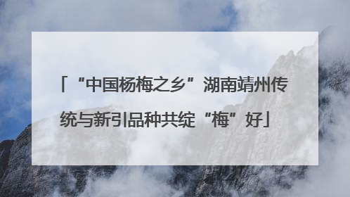 “中国杨梅之乡”湖南靖州传统与新引品种共绽“梅”好
