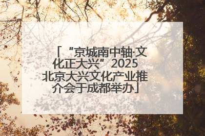 “京城南中轴·文化正大兴”2025北京大兴文化产业推介会于成都举办