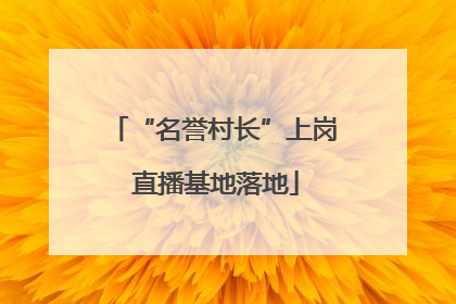 “名誉村长”上岗 直播基地落地