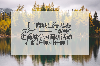 “商城出海 思想先行”——“双会”进商城学习调研活动在临沂顺利开展