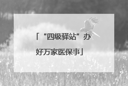 “四级驿站”办好万家医保事
