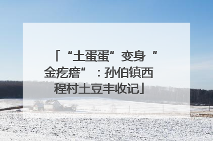 “土蛋蛋”变身“金疙瘩”：孙伯镇西程村土豆丰收记