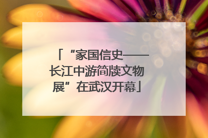 “家国信史——长江中游简牍文物展”在武汉开幕