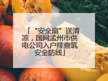 “安全扇”送清凉，国网孟州市供电公司入户排查筑安全防线