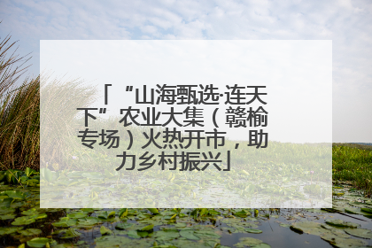 “山海甄选·连天下”农业大集（赣榆专场）火热开市，助力乡村振兴