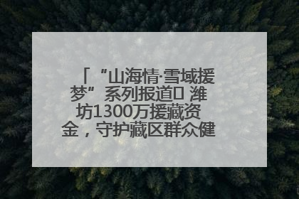 “山海情·雪域援梦”系列报道⑪ 潍坊1300万援藏资金，守护藏区群众健康“最后一公里”