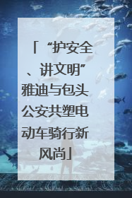 “护安全、讲文明”雅迪与包头公安共塑电动车骑行新风尚