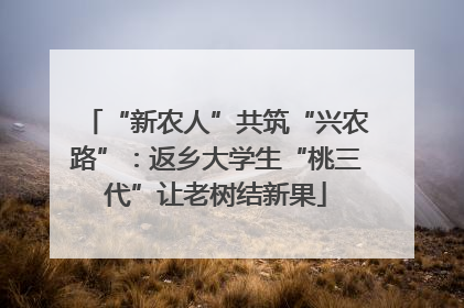 “新农人”共筑“兴农路”：返乡大学生“桃三代”让老树结新果