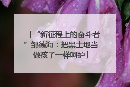 “新征程上的奋斗者”邹德海：把黑土地当做孩子一样呵护