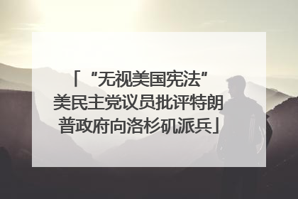 “无视美国宪法” 美民主党议员批评特朗普政府向洛杉矶派兵