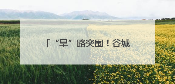 “旱”路突围！谷城盛康智能旱直播：缺水田“喝”上高产水