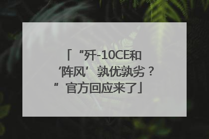 “歼-10CE和‘阵风’孰优孰劣？”官方回应来了