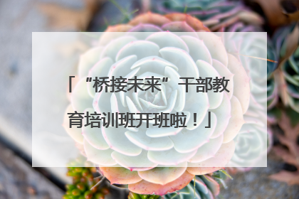 “桥接未来”干部教育培训班开班啦！