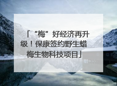 “梅”好经济再升级！保康签约野生蜡梅生物科技项目