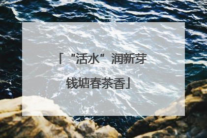 “活水”润新芽 钱塘春茶香