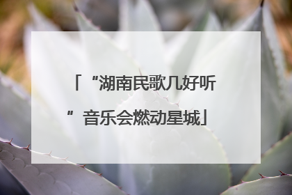 “湖南民歌几好听”音乐会燃动星城