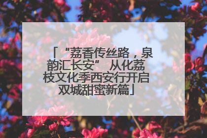 “荔香传丝路，泉韵汇长安” 从化荔枝文化季西安行开启双城甜蜜新篇