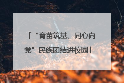 “育苗筑基、同心向党”民族团结进校园