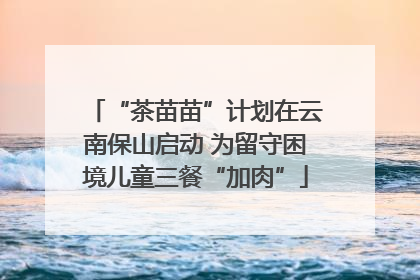 “茶苗苗”计划在云南保山启动 为留守困境儿童三餐“加肉”