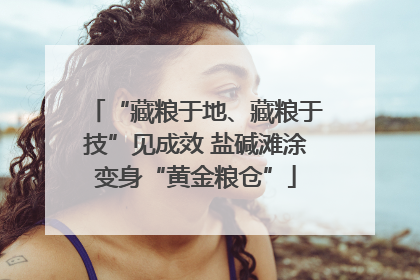 “藏粮于地、藏粮于技”见成效 盐碱滩涂变身“黄金粮仓”