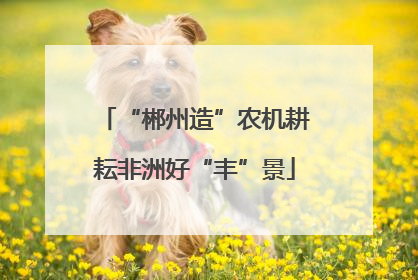 “郴州造”农机耕耘非洲好“丰”景