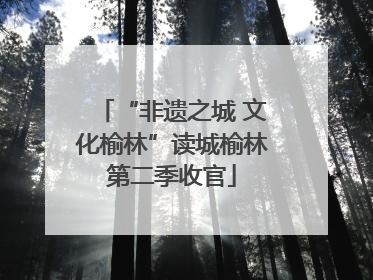 “非遗之城 文化榆林”读城榆林第二季收官